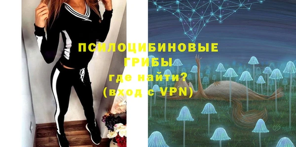 дурь Абаза