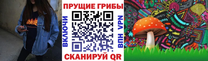 мега как зайти  Чита  Галлюциногенные грибы мухоморы  купить  