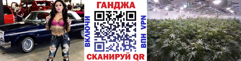 Шишки марихуана Amnesia  ссылка на мегу рабочий сайт  Чита 